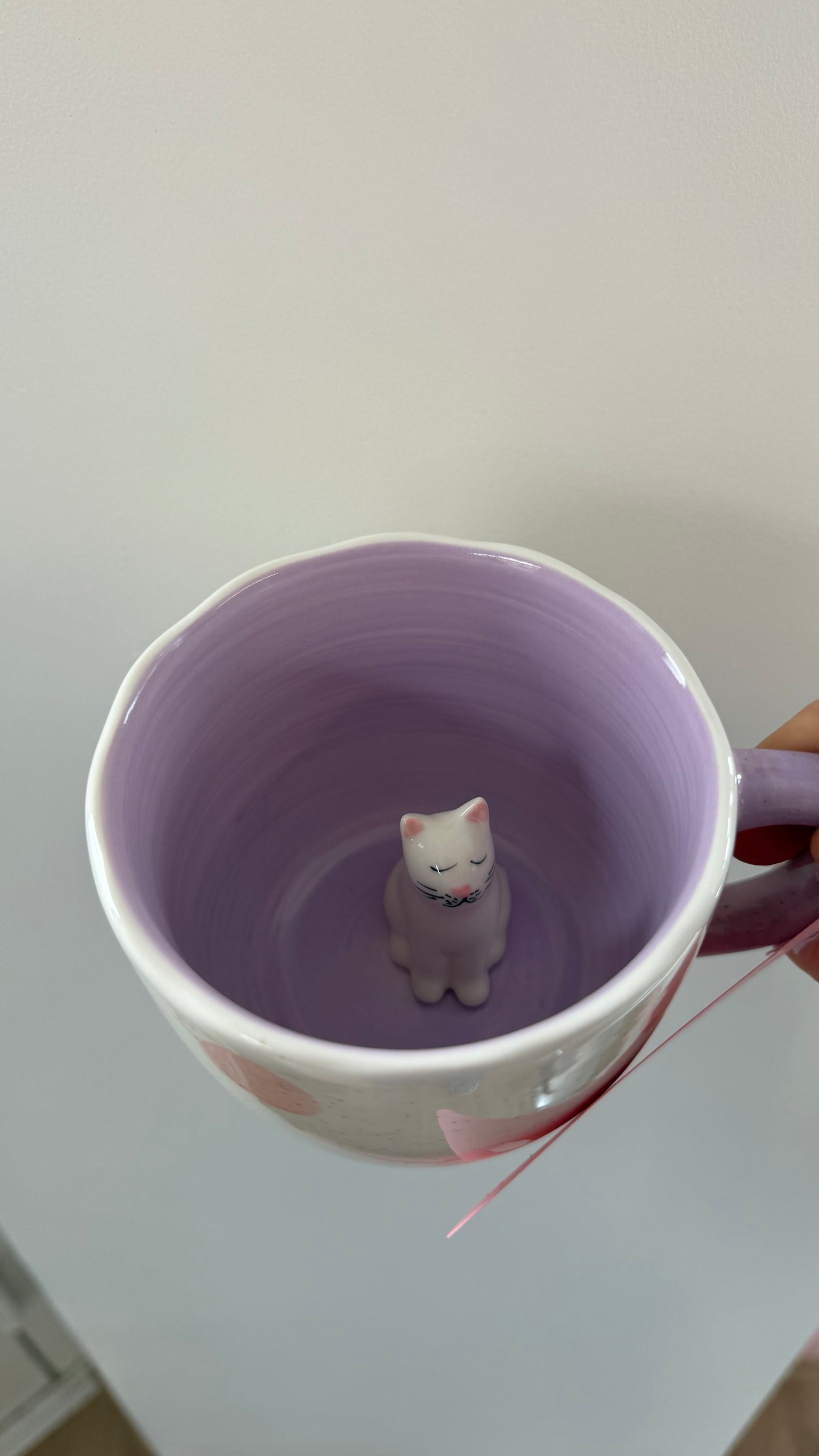 Cat Surprise mug