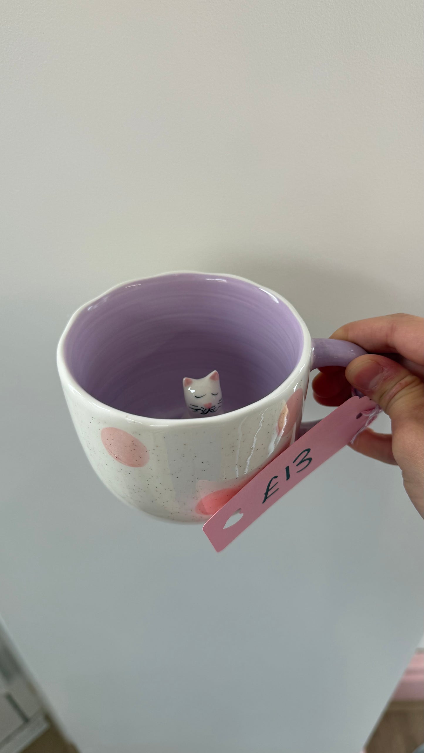 Cat Surprise mug